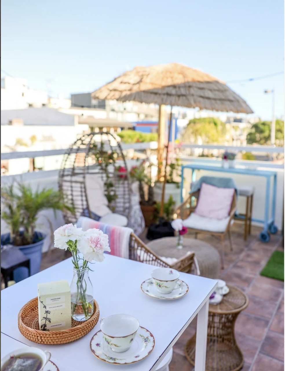 Boutique brunch styling at Tropical Refuge — curated wellness finds, light bites and sips